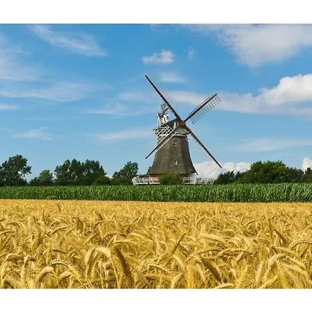 Prázdninový dům In Wyk With Swimming Pool Wyk auf Föhr